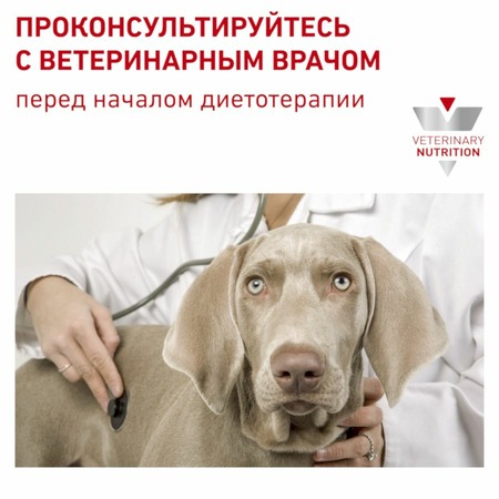 Royal Canin Gastrointestinal Low Fat полнорационный сухой корм для взрослых собак при нарушениях пищеварения и экзокринной недостаточности поджелудочной железы, диетический Дополнительное Превью